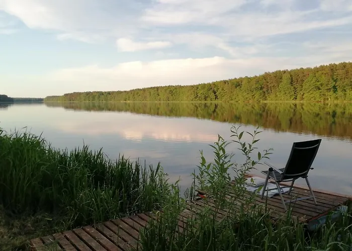 Pod Debami * Trzcianka (Czarnkow-Trzcianka)